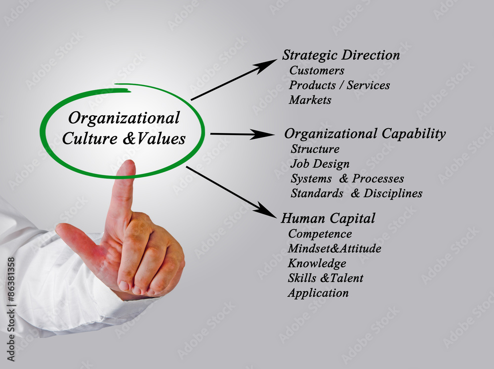 Obraz premium Organizational Culture&Values