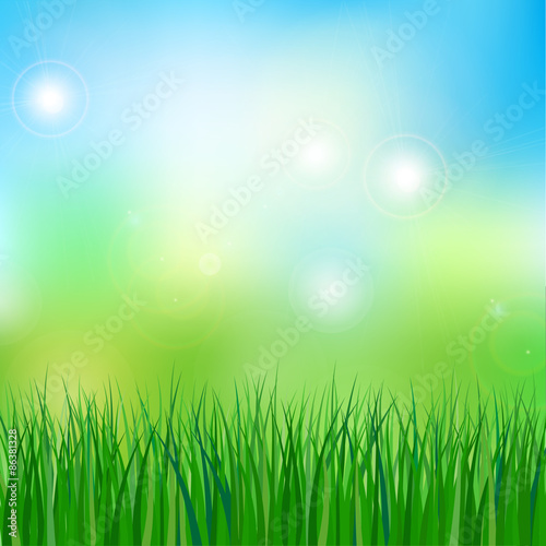 vector illustration of meadow