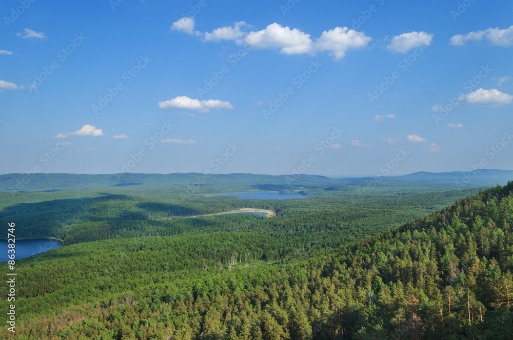 Fototapeta premium Summer landscape