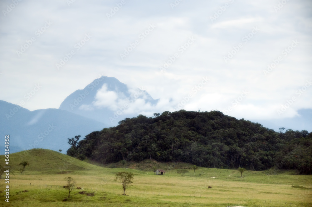 Ponta Grossa, Paraná