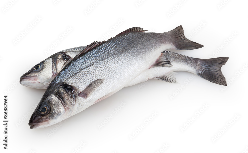 Obraz premium Seabass isolated on white background with clipping path