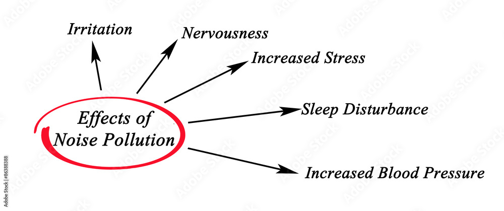 Effects of Noise Pollution Effects of Noise Pollution