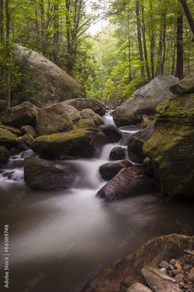 Cascade in lush forest