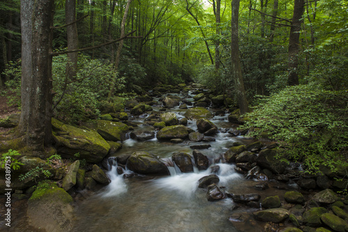 cascade in lush forest in South Carolina