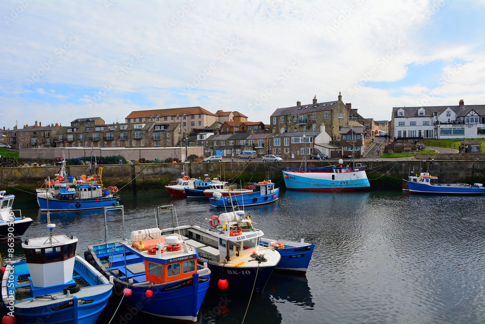 Harbour, Seahouses, England