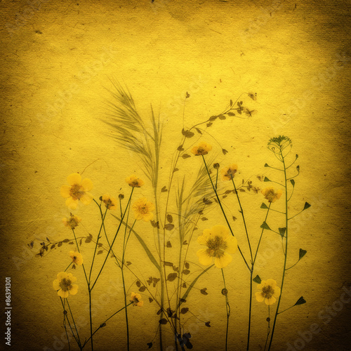 Sepia Vintage card with Leaves yellow flowers and Old Paper Texture.