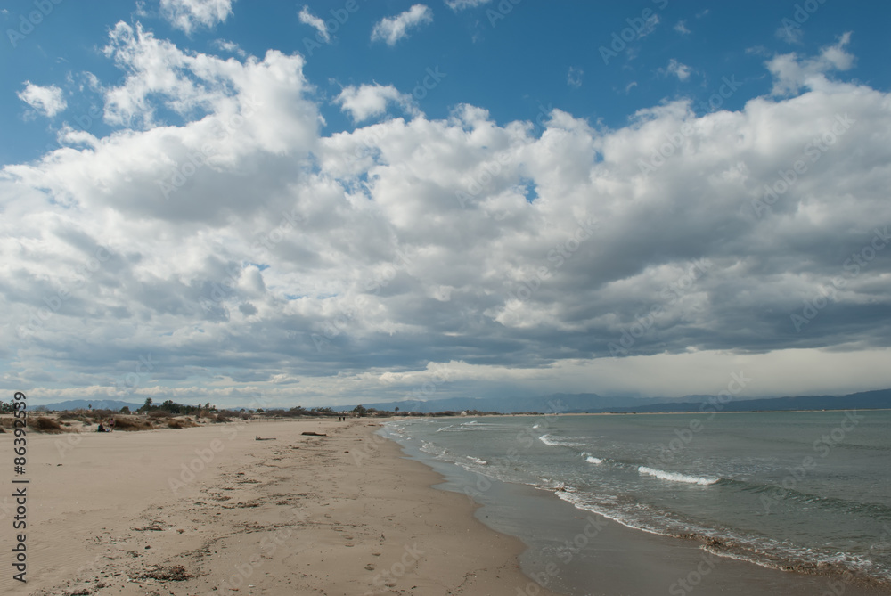 Delta Ebro Beach shore