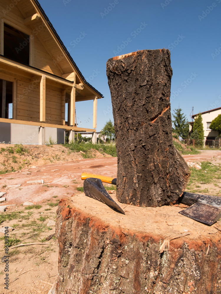 Fototapeta premium ax stuck in a log standing