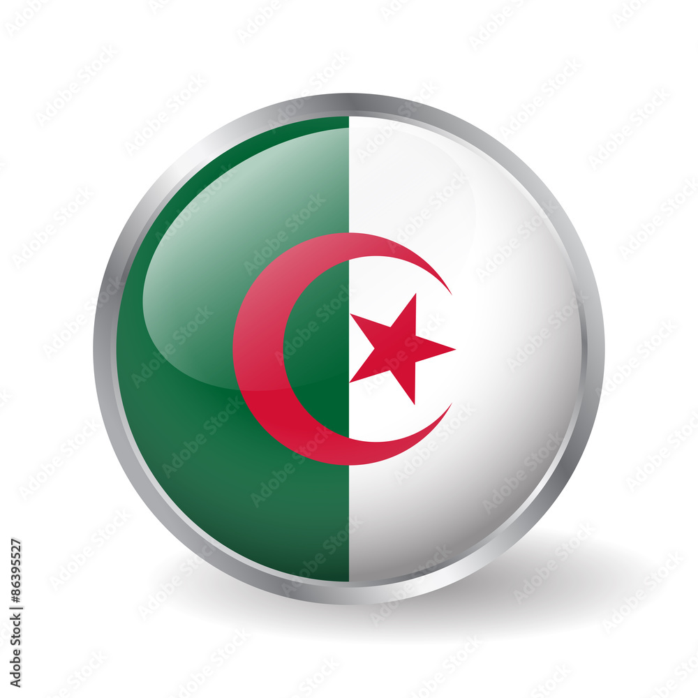 Algeria flag button vector Algeria flag button vector