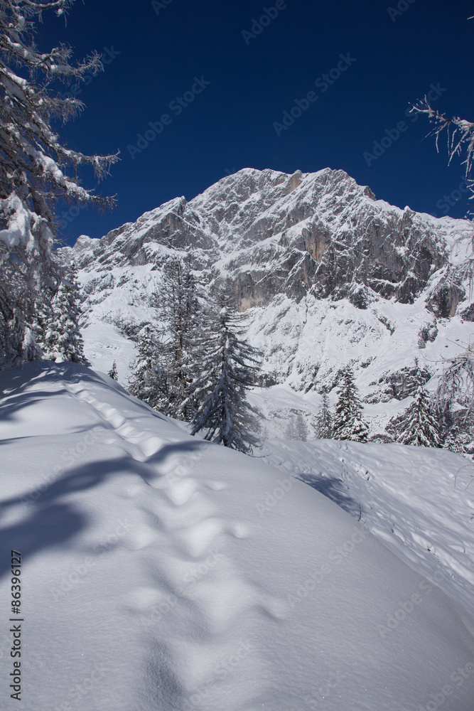 Fototapeta premium Schneespuren