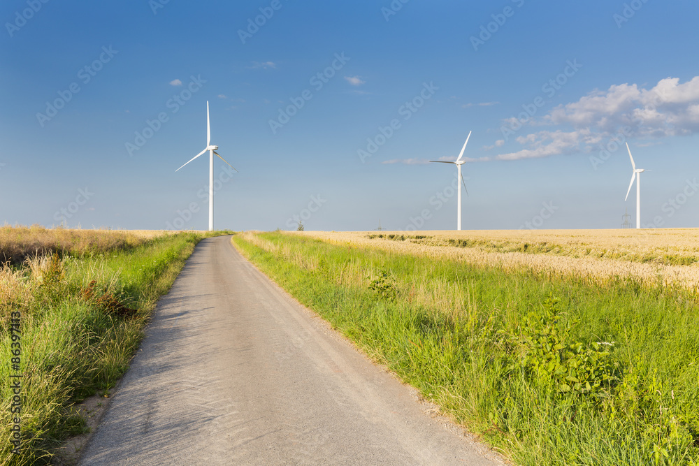 Road Leading To Wind Turbines