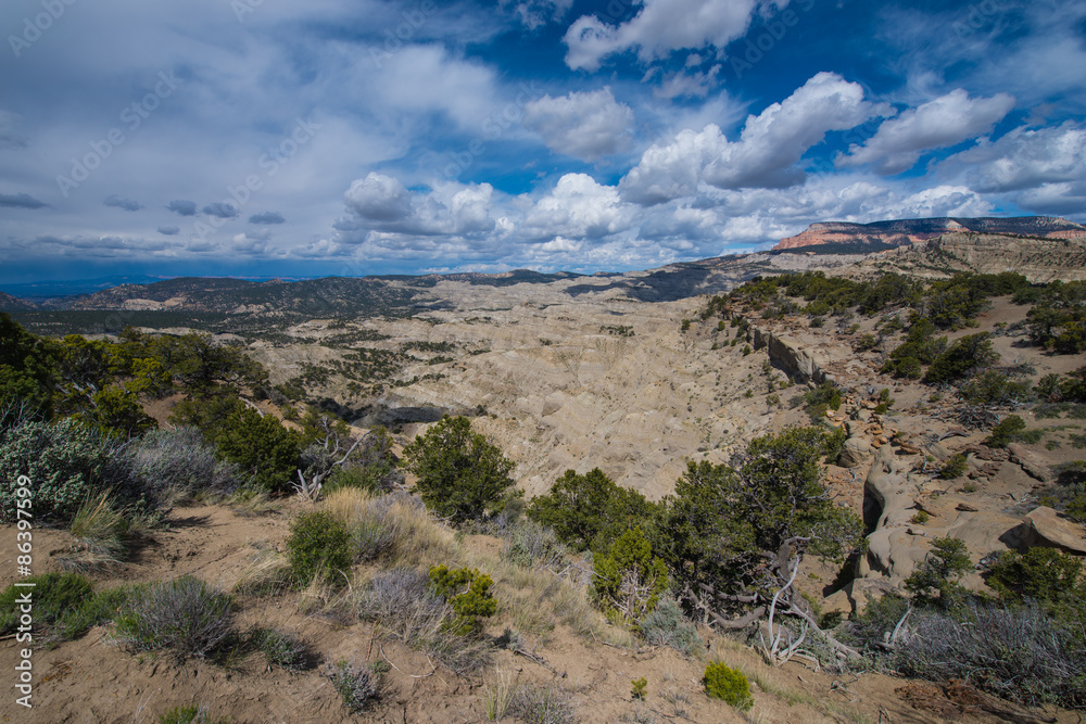 Table Cliff Plateau - Garfield County, UT Overlook Table Cliff Plateau - Garfield County, UT Overlook