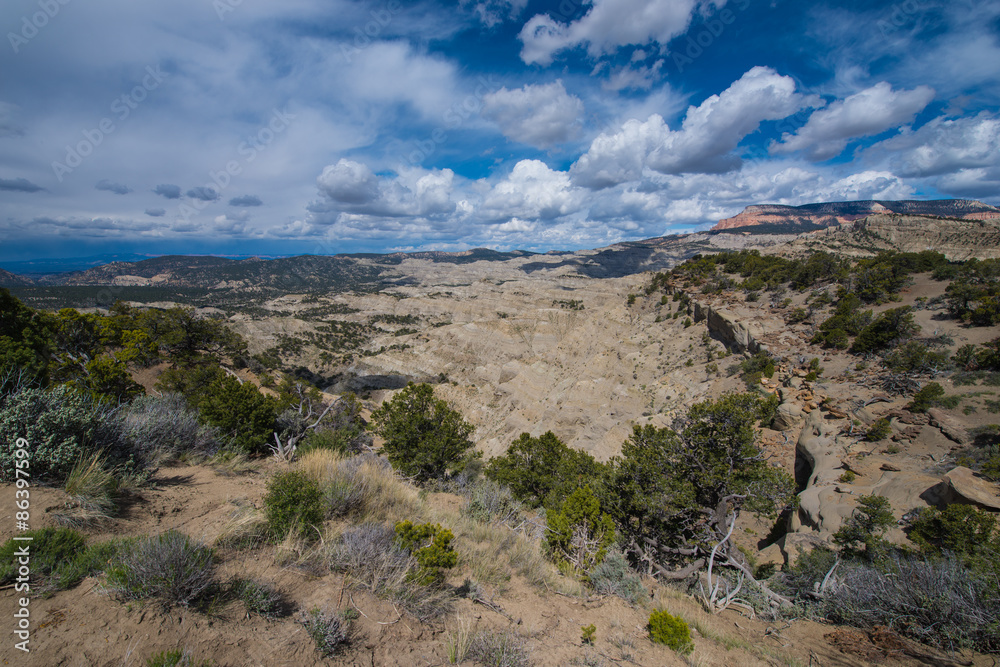 Table Cliff Plateau - Garfield County, UT Overlook