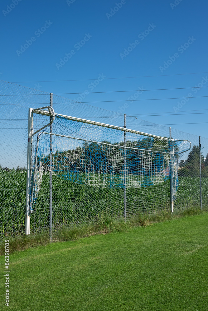 Fototapeta premium Fussballtor