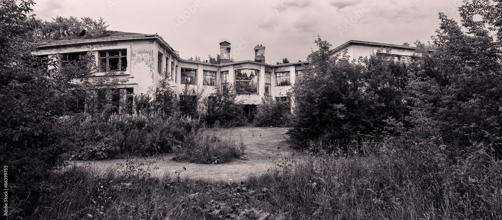 Panorama of the deserted buildings among green vegetation