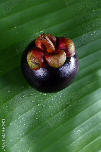 Still Life Mangosteen, Queen of fruits.