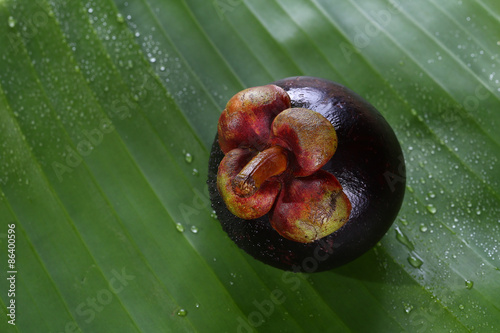 Still Life Mangosteen, Queen of fruits.