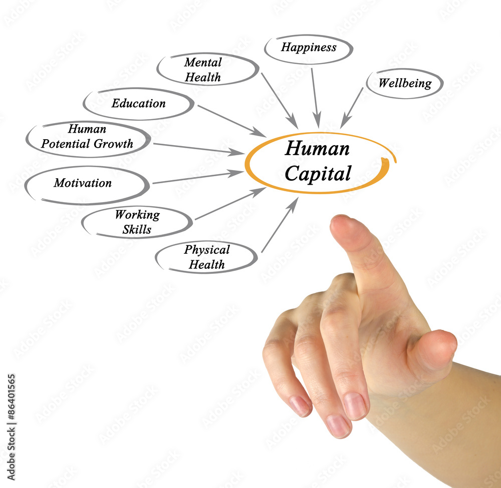 Diagram of Human Capital Diagram of Human Capital