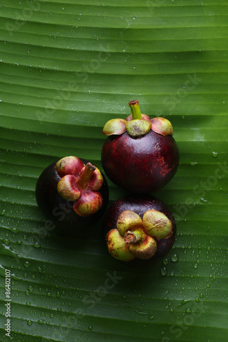 Still Life Mangosteen, Queen of fruits.