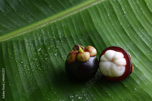 Still Life Mangosteen, Queen of fruits.