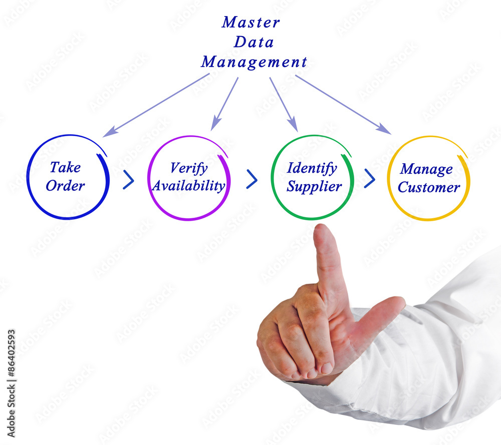 Diagram of Master Data Management Diagram of Master Data Management