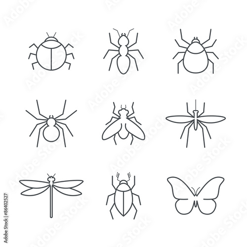 Insect simple vector icon set - bug, ant, tick, spider, fly, gnat, beetle, dragonfly and butterfly © AlexKaplun