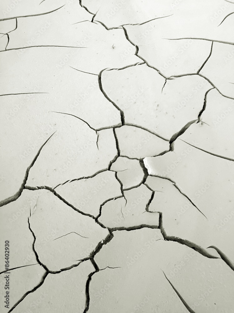 Obraz premium Cracked Dry Ground
