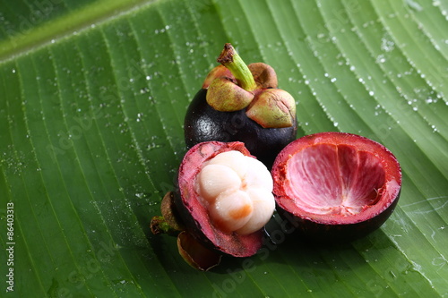 Still Life Mangosteen, Queen of fruits.