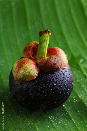 Still Life Mangosteen, Queen of fruits.