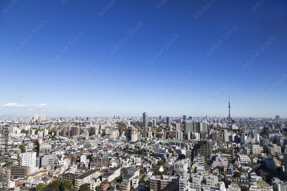 Obraz premium 東京都市風景 水道橋から望む東京スカイツリー 上野 浅草方面と東京都心の街並
