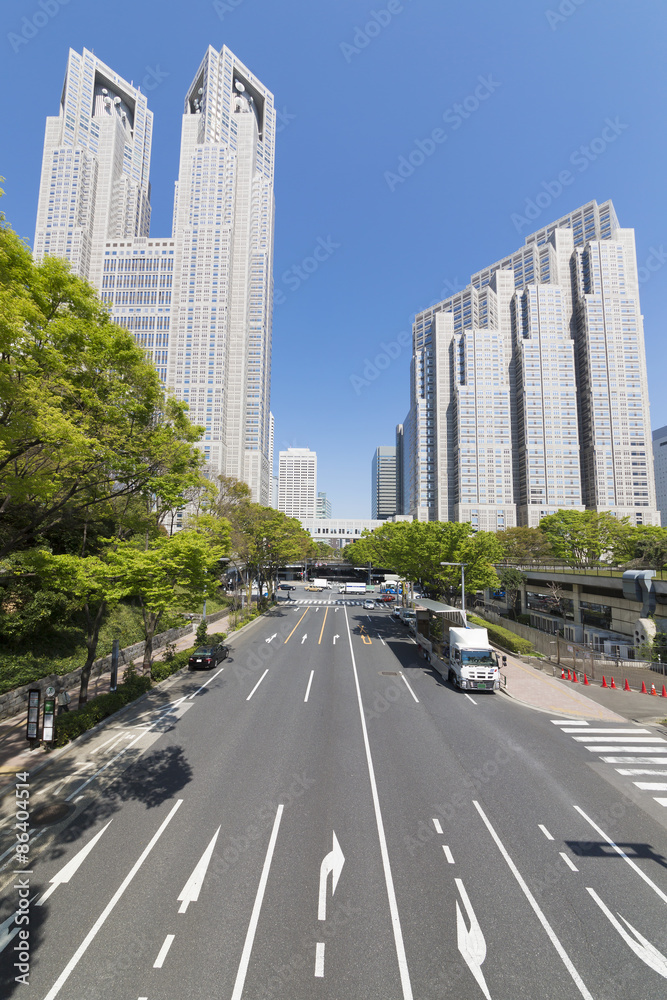 Fototapeta premium 東京都庁と新宿高層ビル群 晴天と緑