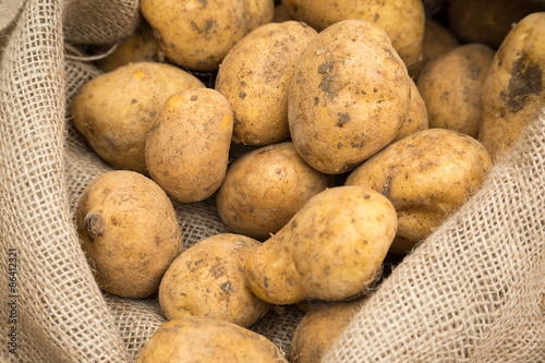 Potatoes in Sack