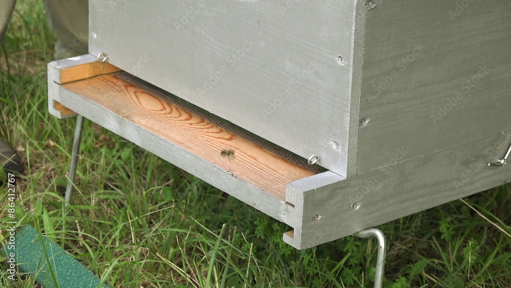 enfumage des abeilles et nettoyage du haut des cadres
