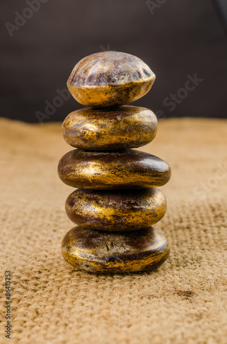 Entada rheedii seed with gold paint