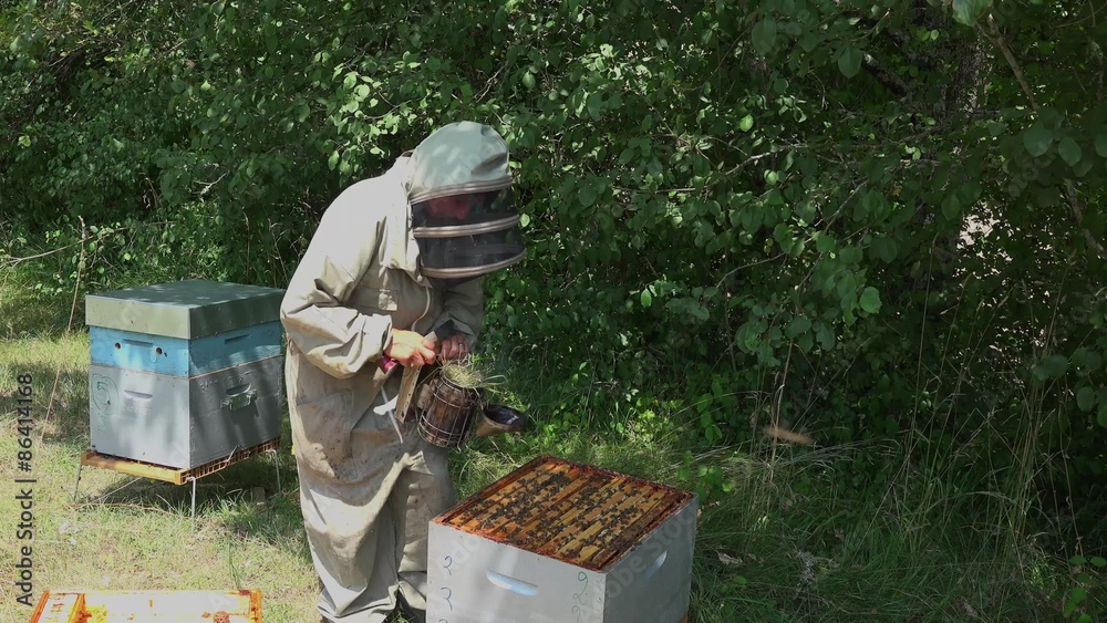 dépose des cadres avant extraction du miel