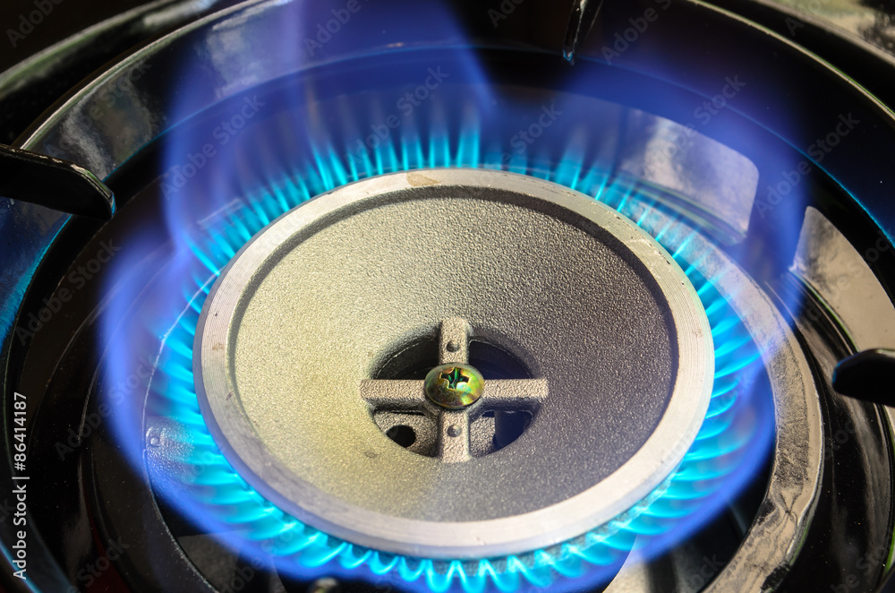 Portable Gas Burner Portable Gas Burner