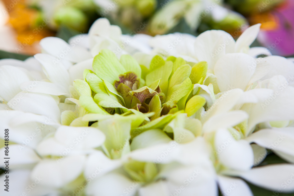 Fototapeta premium Orchid petals Being prepared is used in wedding ceremonies.