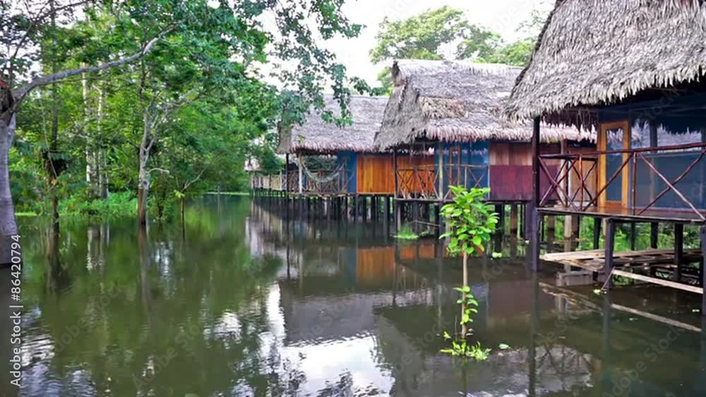 Lodge in the Amazon rain forest on stilts in a flooded area in Peru Lodge in the Amazon rain forest on stilts in a flooded area in Peru