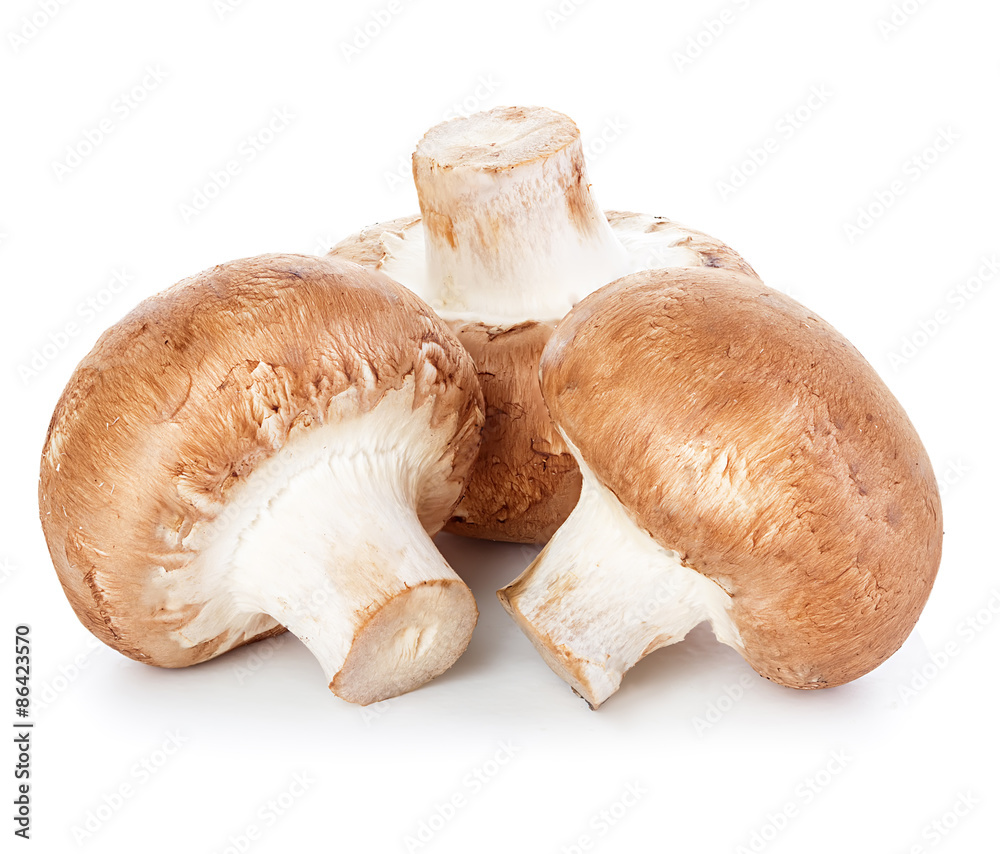 Fototapeta premium Brown champignons mushrooms