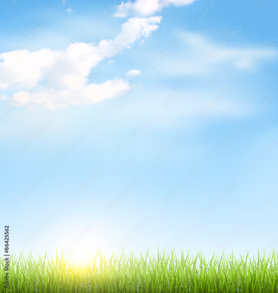 Green grass lawn with clouds and sun on blue sky