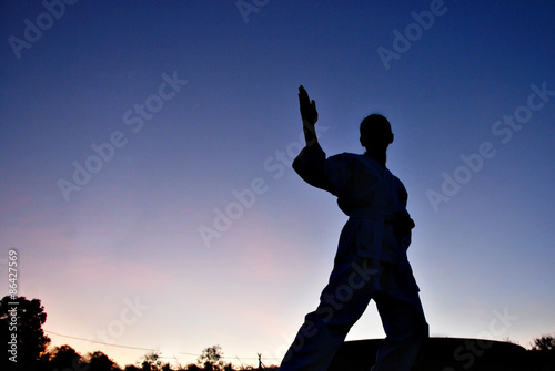 Healthy lifestyle : Silhouette of a girl practicing the karate d photo