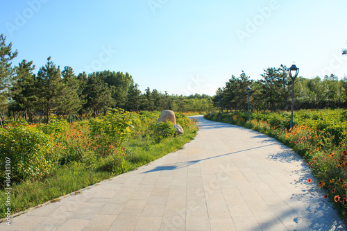 Fototapeta Naklejka Na Ścianę i Meble -  Sidewalk in the summer park