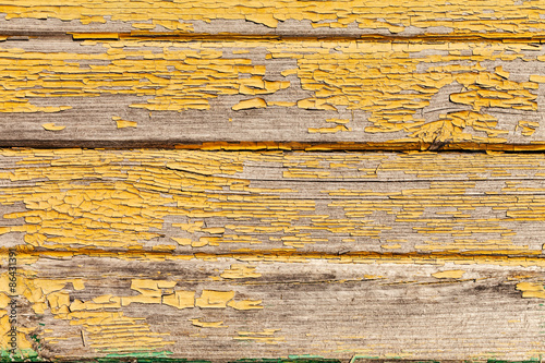 Wallpaper Mural wood background Torontodigital.ca