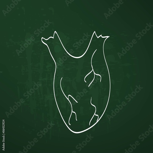 heart anatomy on the chalkboard chalk painted