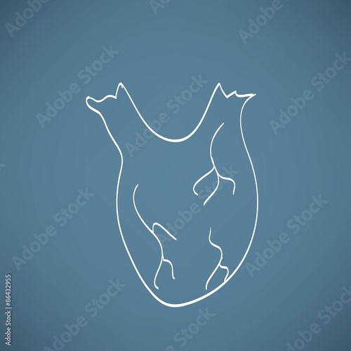 heart anatomy on the chalkboard chalk painted