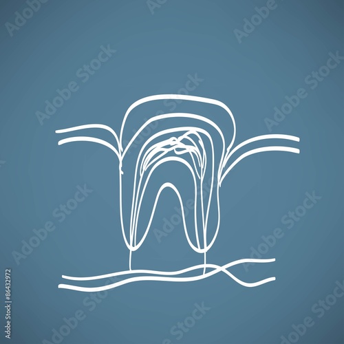tooth anatomy chalk painted on the chalkboard vector illustration