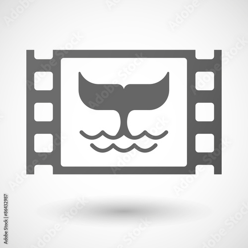35mm film frame with a whale tail