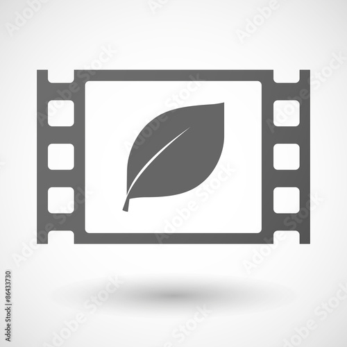 35mm film frame with a leaf