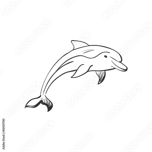 doodle dolphin