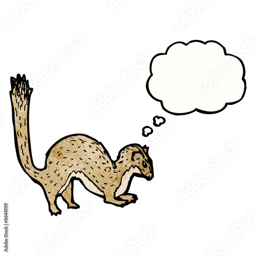 weasel illustration